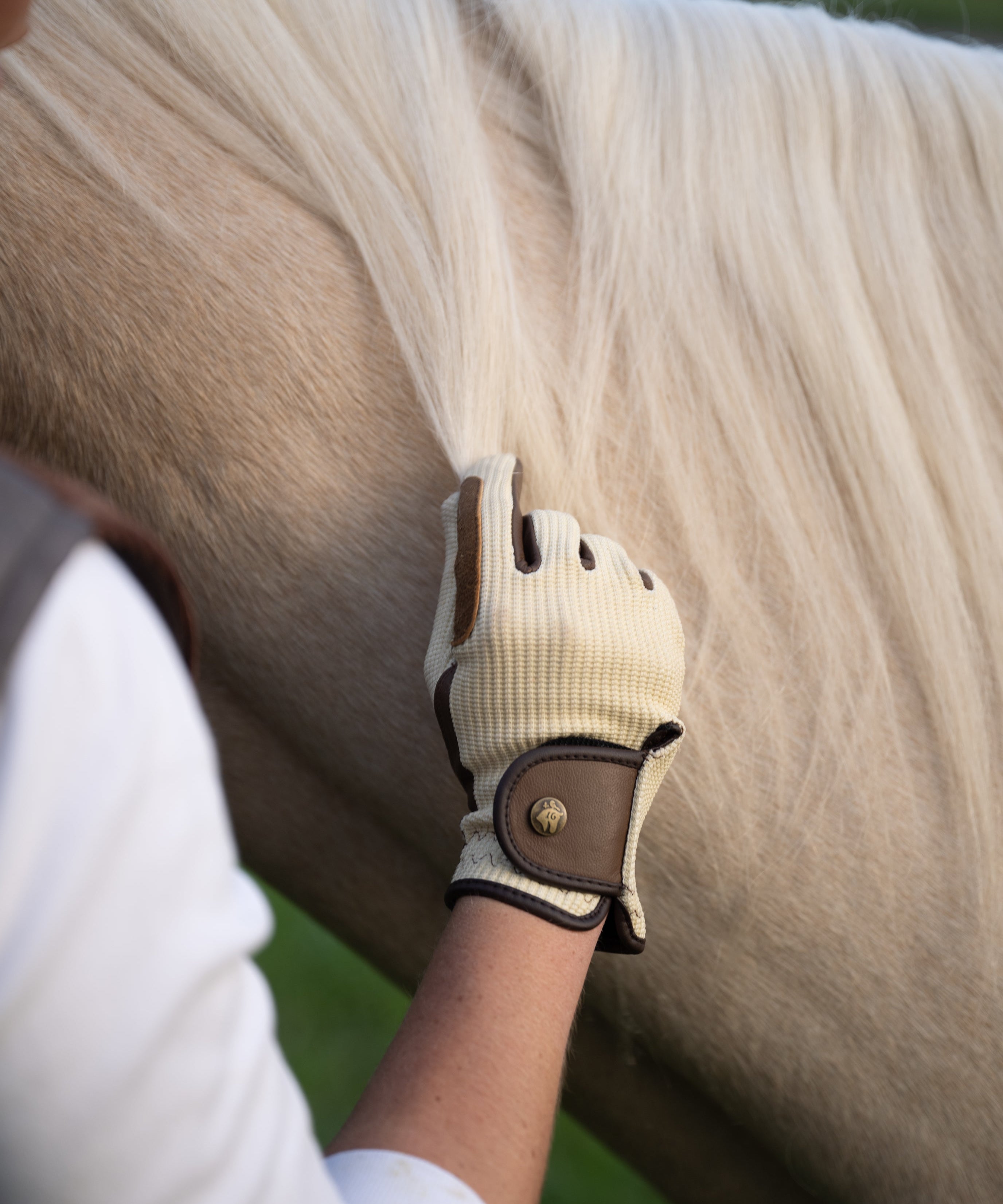 Riding Gloves, Ivory & Cognac