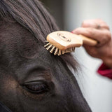 Borstiq Mane & Tail Massage Brush