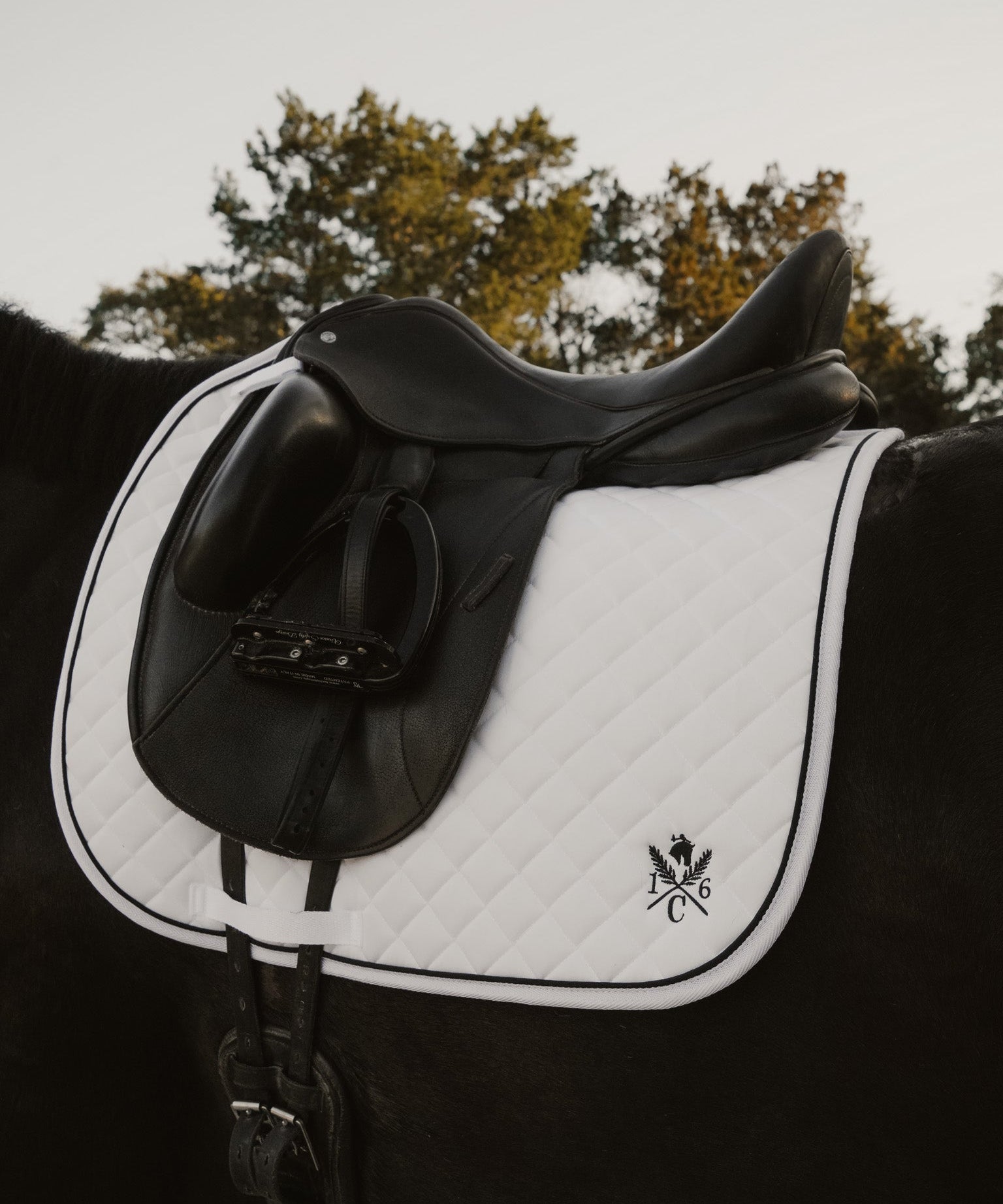 Daily Sport Dressage Saddle Pad - Black