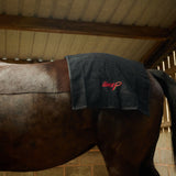 Smart Grooming Dry Off Towel