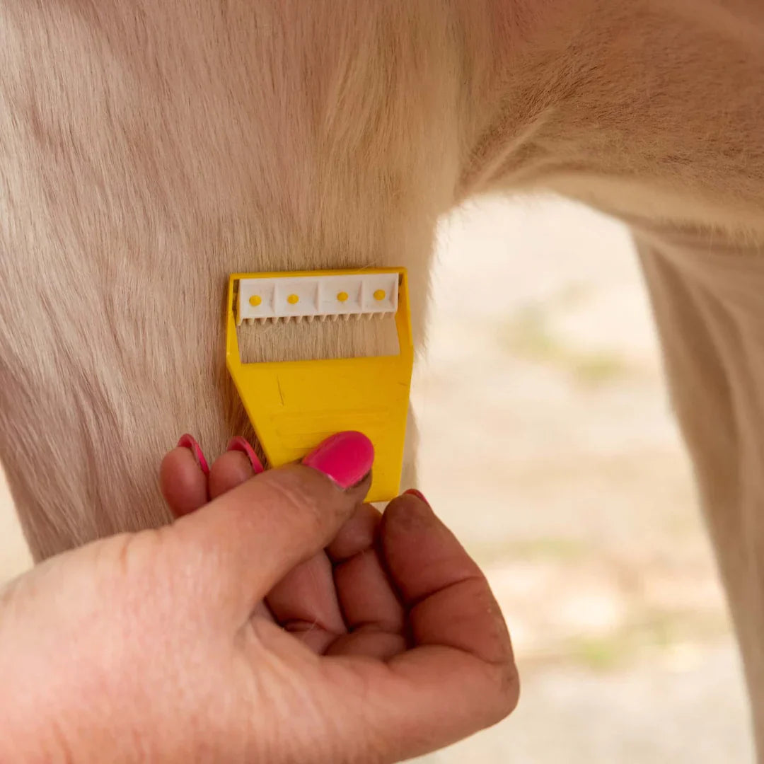 Smart Grooming Equishave