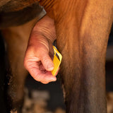 Smart Grooming Equishave