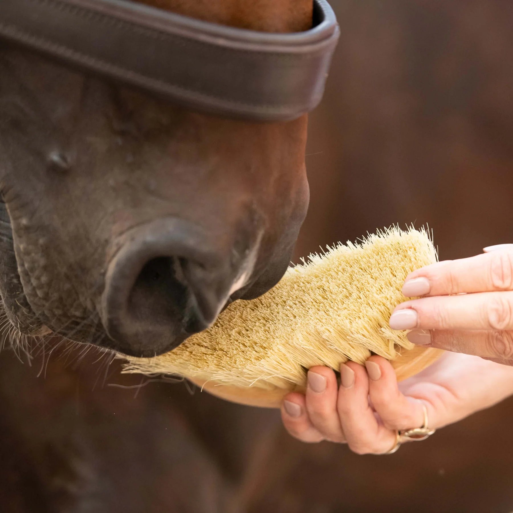 Borstiq Banana Mexican Fibre Brush