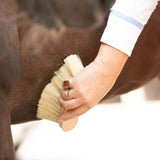 Borstiq Banana Mexican Fibre Brush