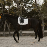 Horse with a saddle in an outdoor setting with trees