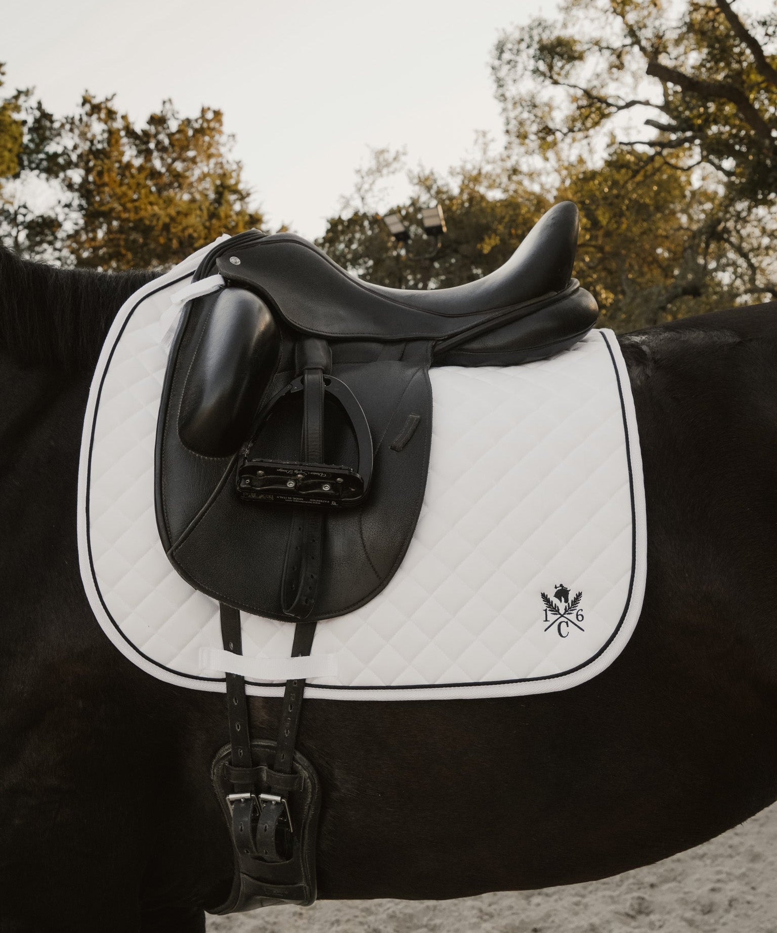 Black and white saddle on a horse with trees in the background. Sixteen Cypress