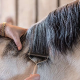 Smart Grooming Smart Manes