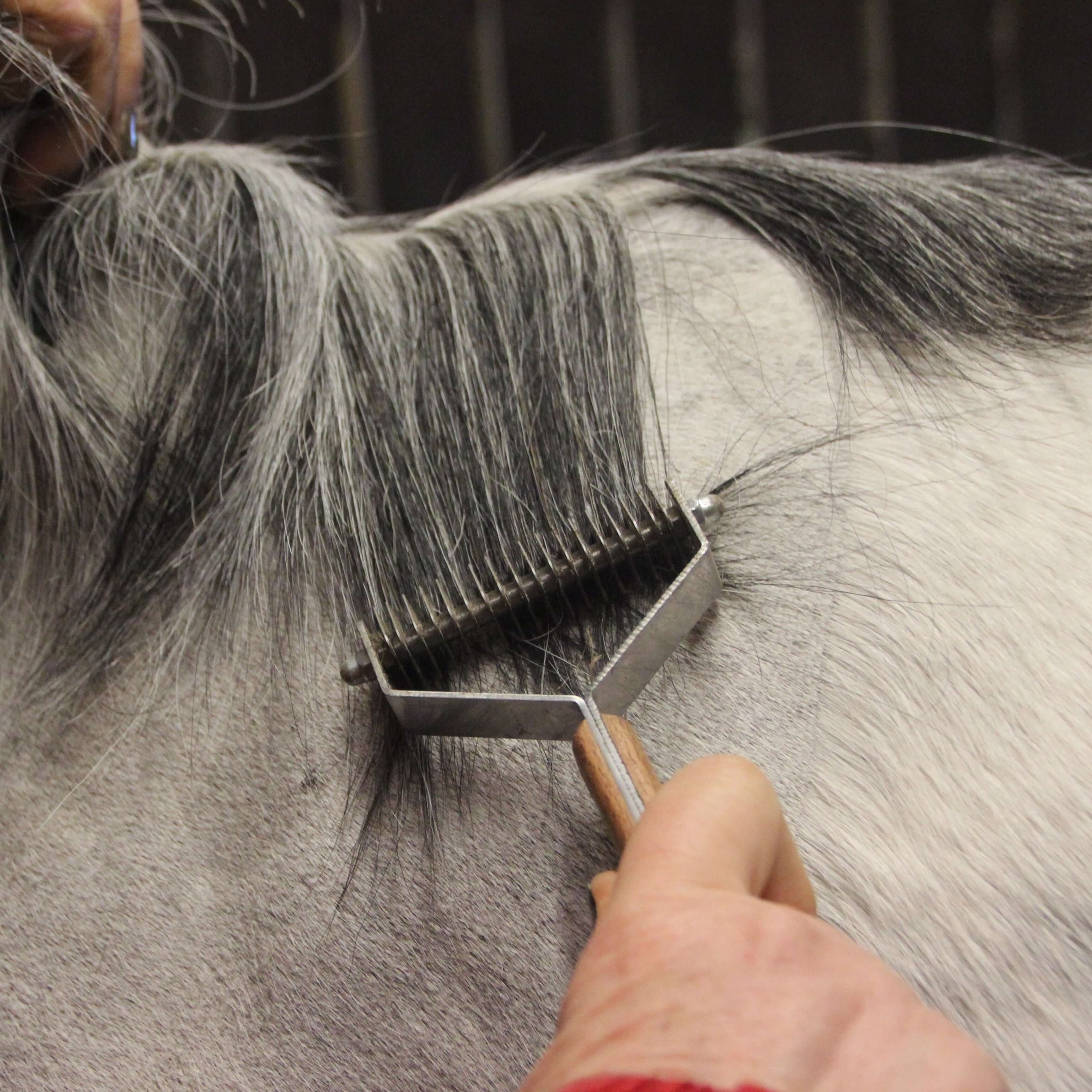 Smart Grooming Smart Manes