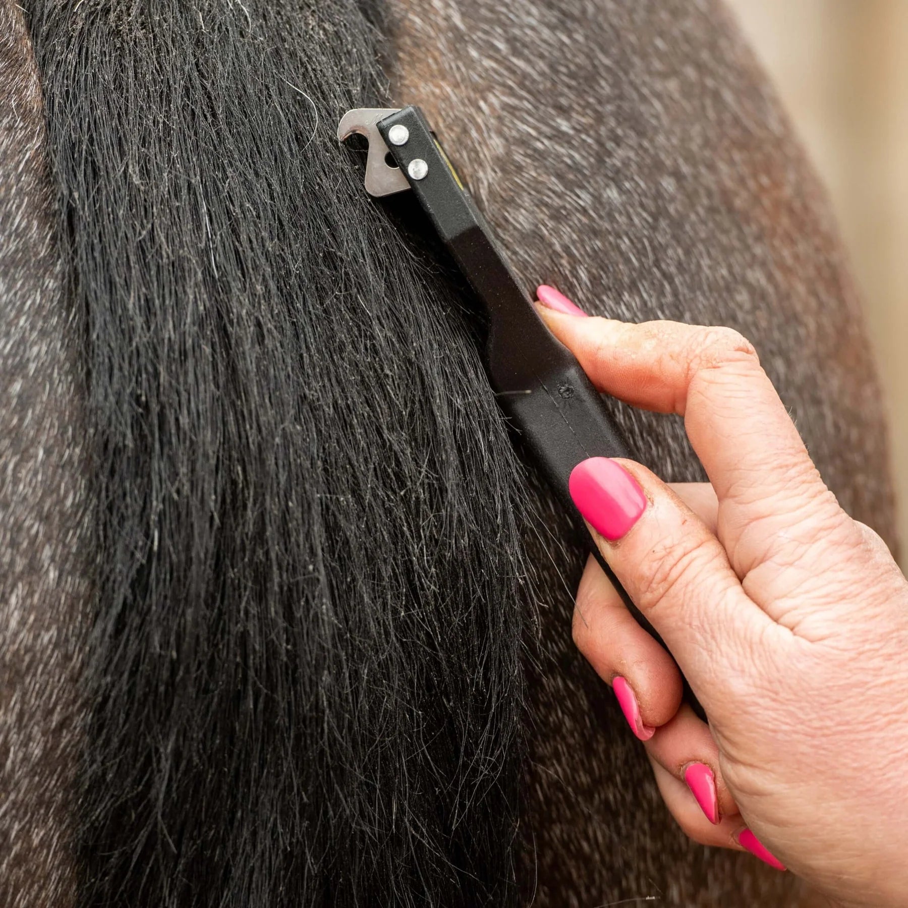 Smart Grooming Smart Tails