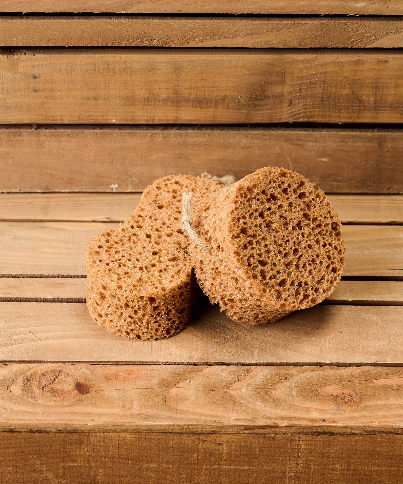 Borstiq Sponge