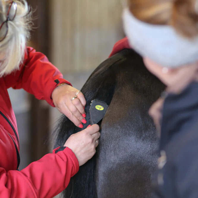 Smart Grooming Smart Tails - Standard