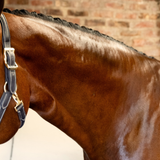Smart Grooming Super Shine