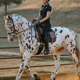 ThinLine X 16C Dressage Pad, Field Plaid