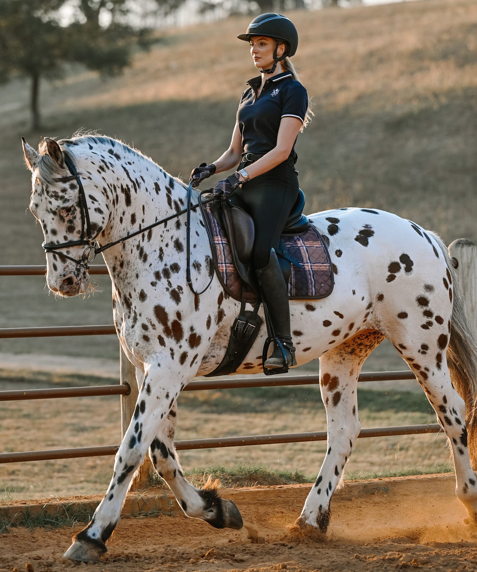 ThinLine X 16C Dressage Pad, Field Plaid