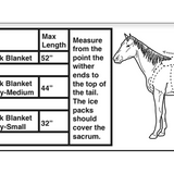 Back Blanket