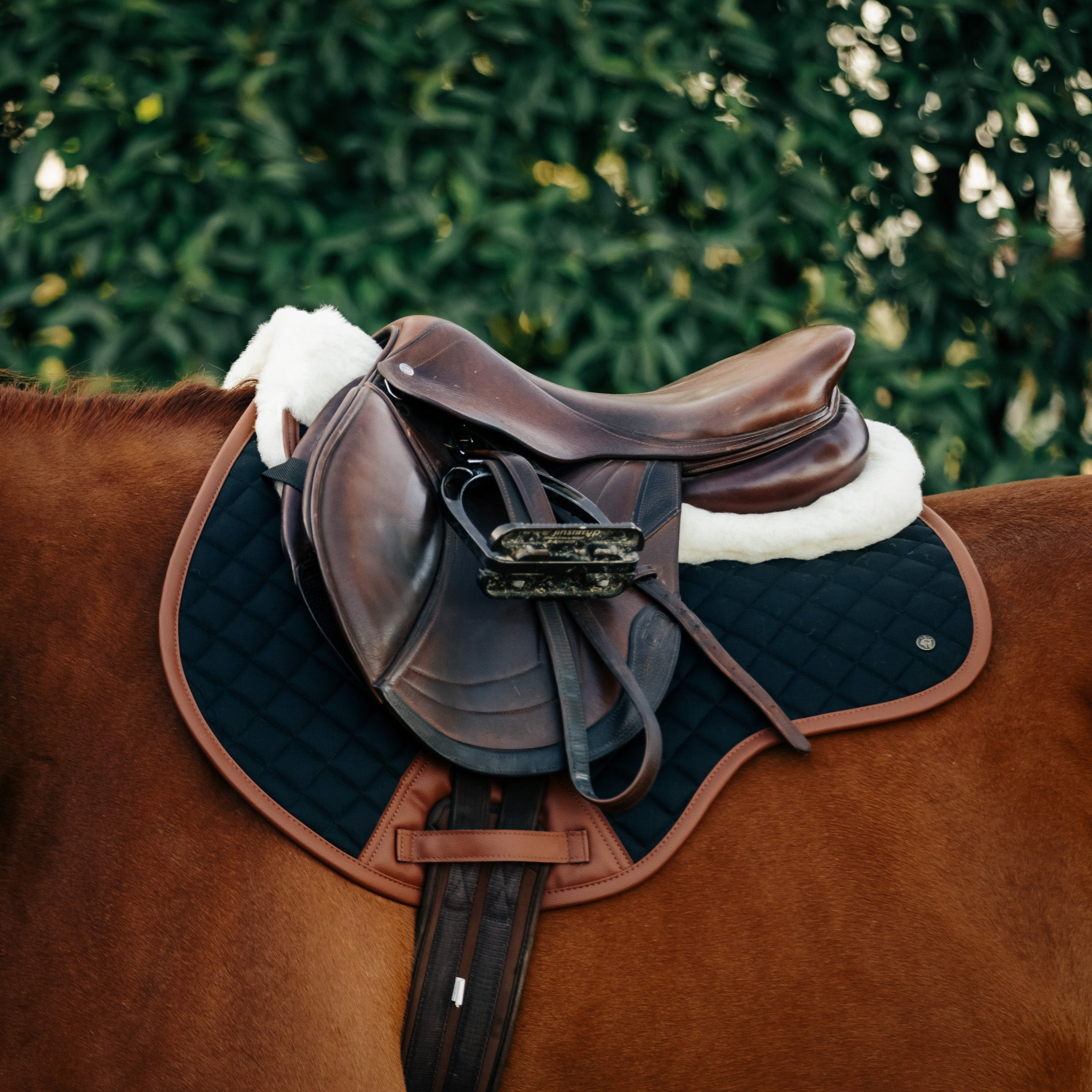 Close Contact Pad, Black & Cognac