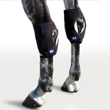 Hock Wraps