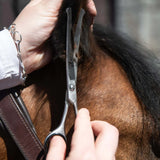 Smart Grooming Safety Scissor