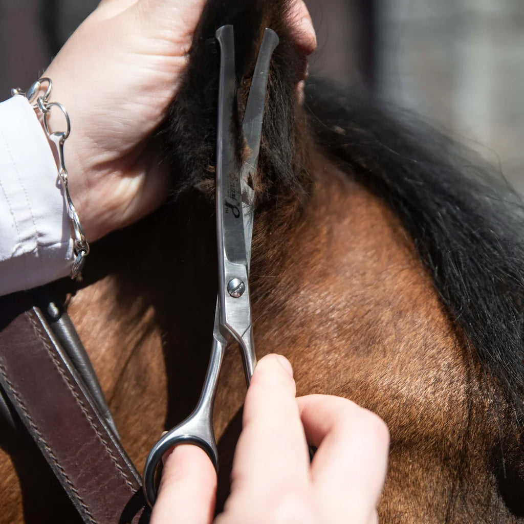 Smart Grooming Safety Scissor