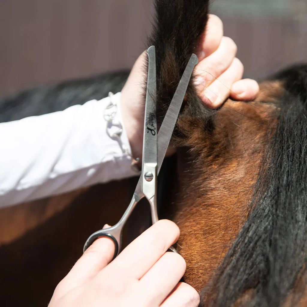 Smart Grooming Safety Scissor