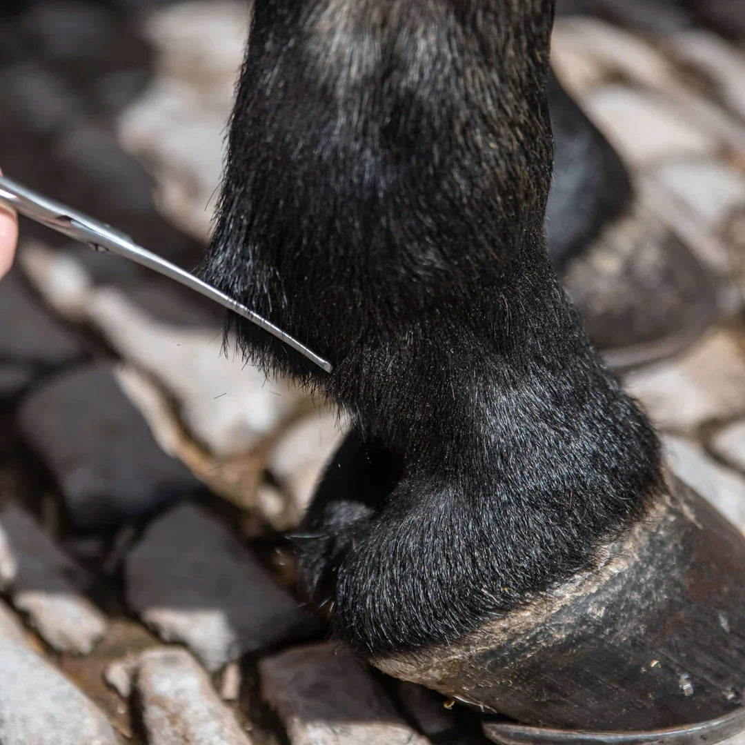 Smart Grooming Safety Scissor