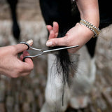 Smart Grooming Safety Scissor