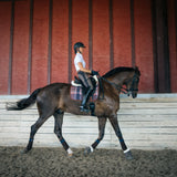 Dressage Pad, Field Plaid & Hickory