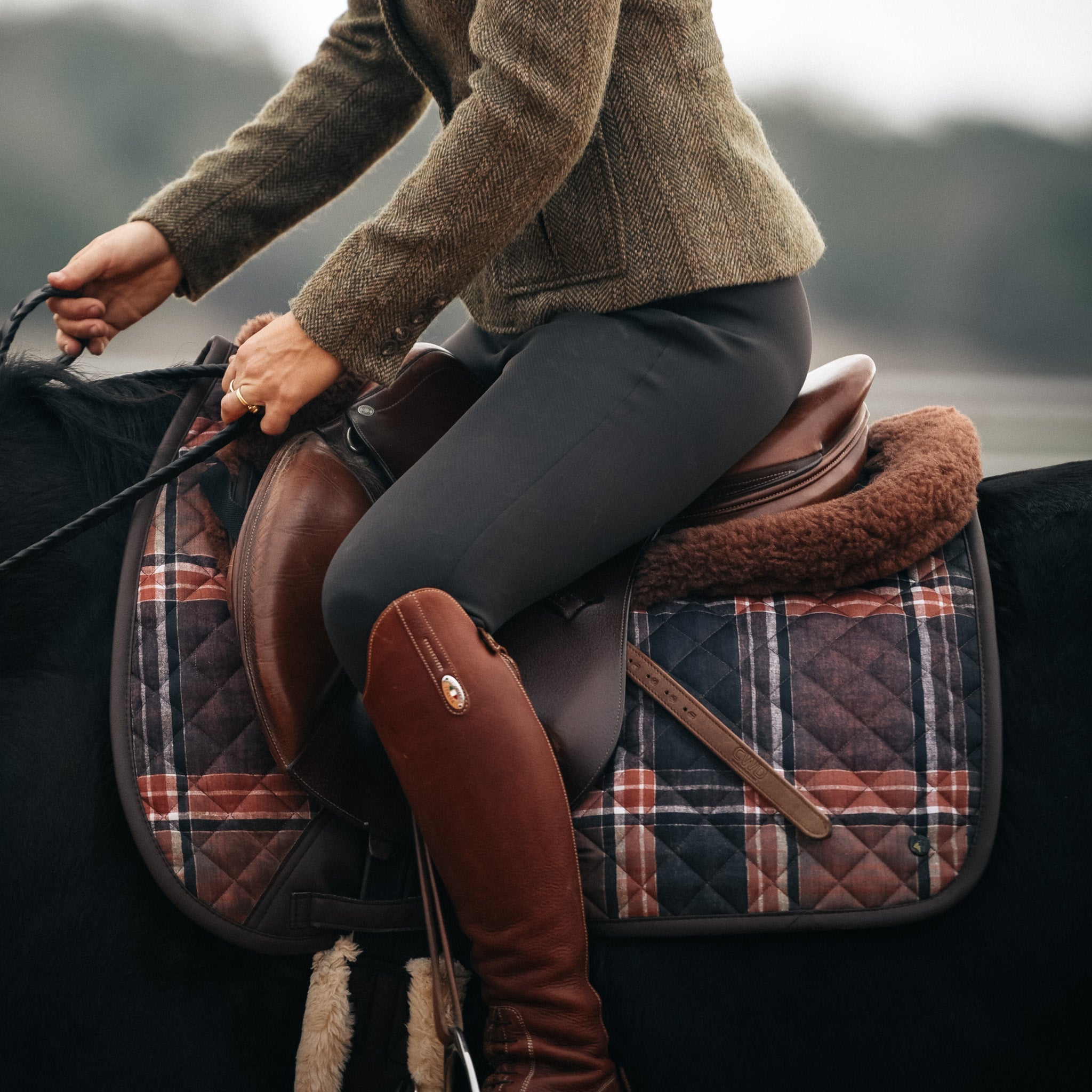 sixteen cypress saddle pad in brown field plaid 