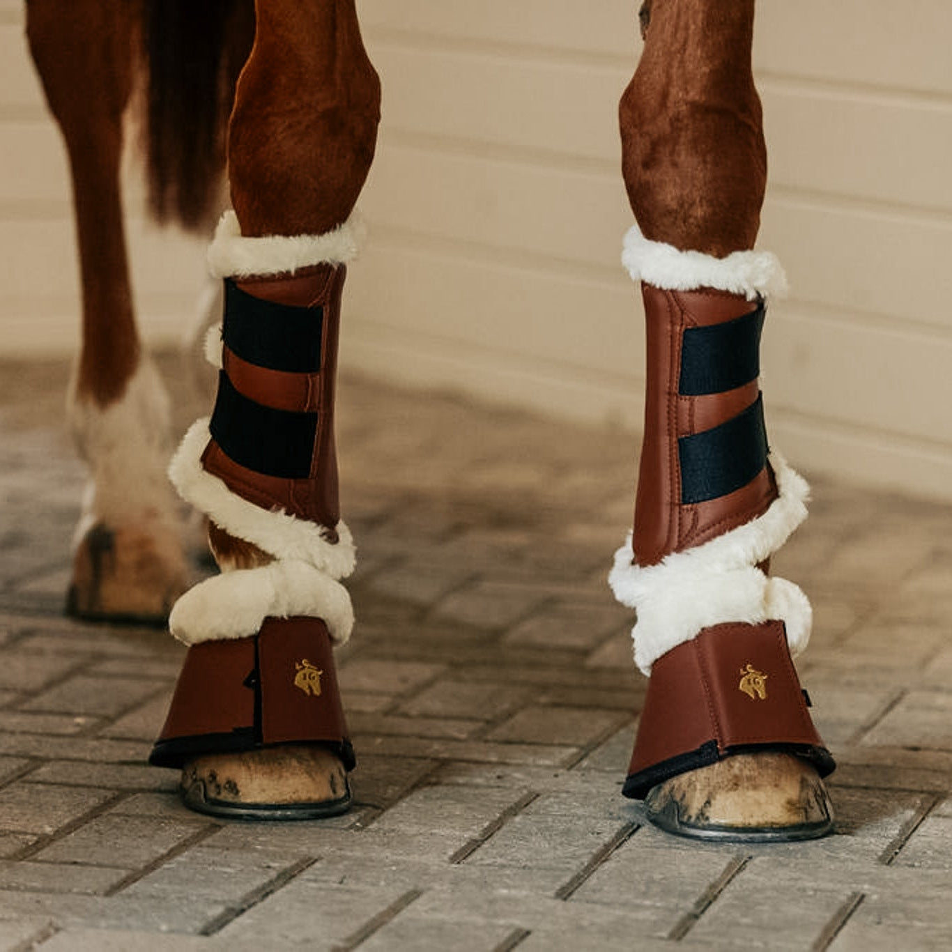 Horse wearing fleece tendon boots & bell boots in cognac by Sixteen Cypress.