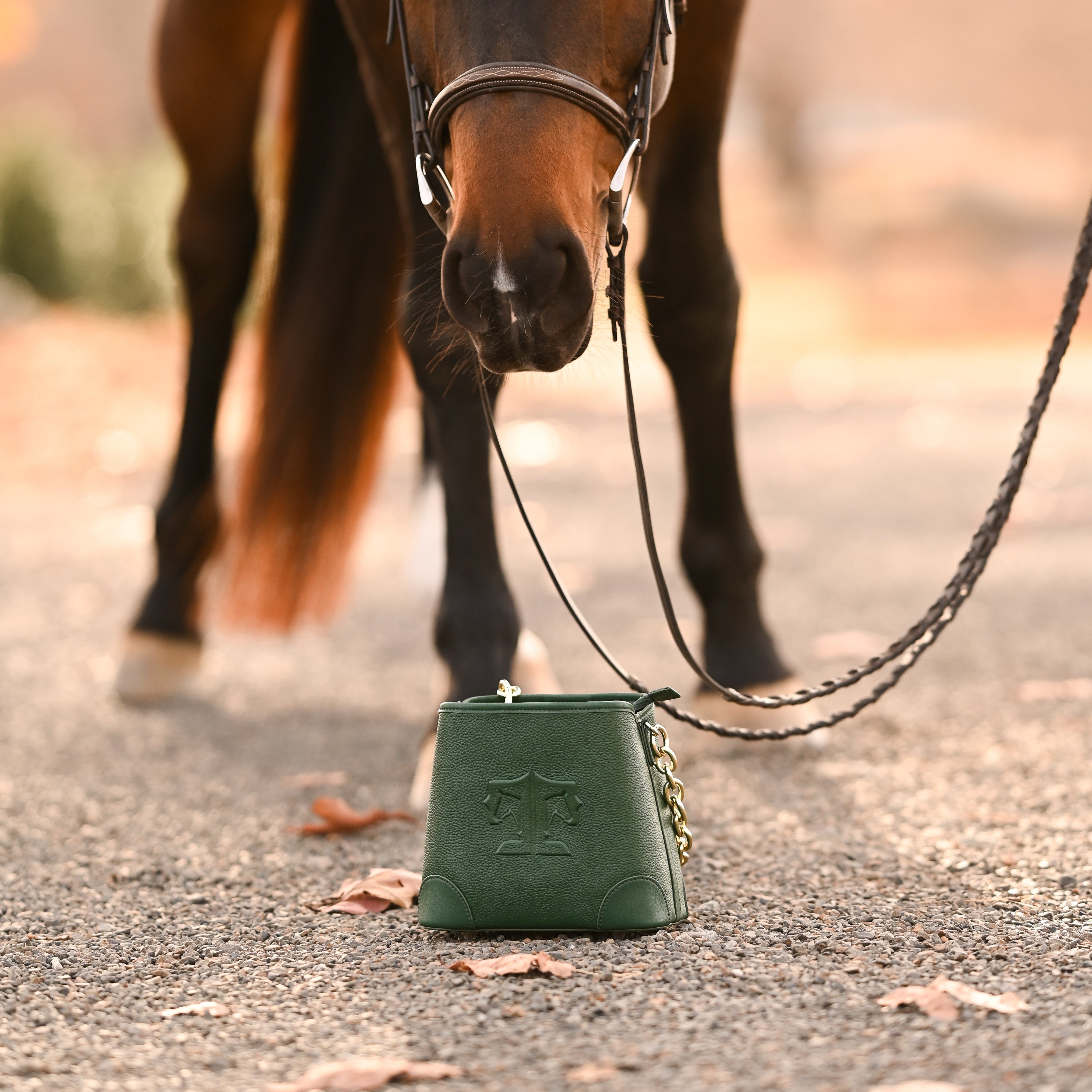 Tucker Tweed Equestrian The Shetland, Large and Small